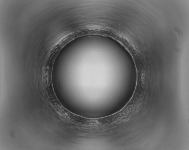 X0000112180968200908071323