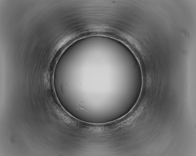 X0000112180970200908071322