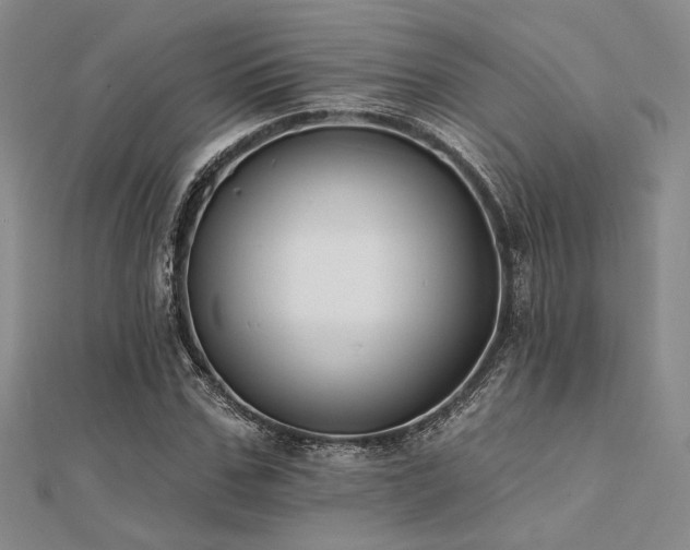 X0000112180971200908071322