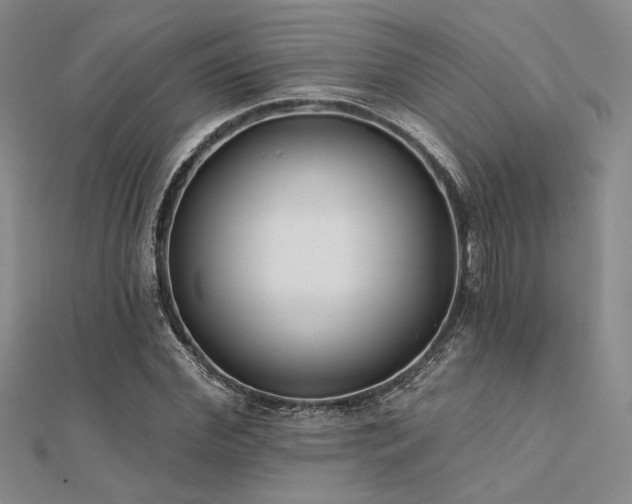 X0000112180972200908071322