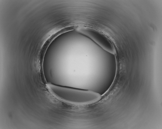 X0000112180973200908071322