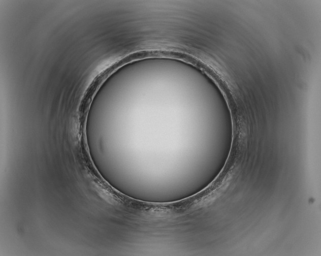 X0000112180974200908071322