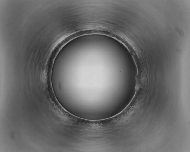 X0000112180975200908071322