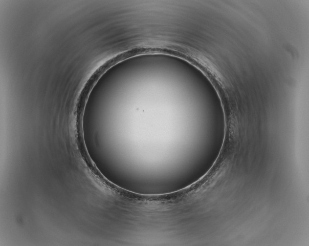 X0000112180976200908071322