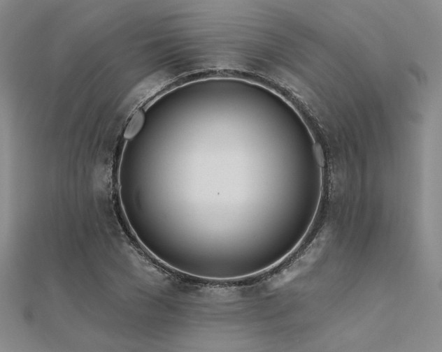 X0000112180977200908071322