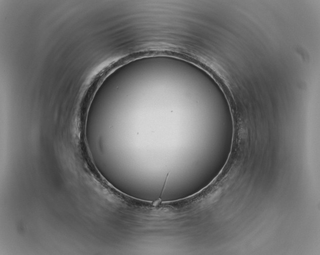 X0000112180979200908071322