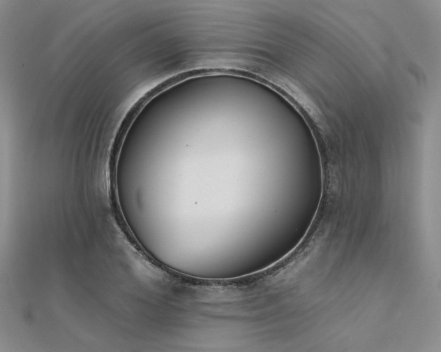 X0000112180980200908071322