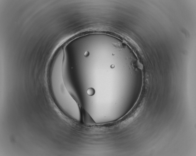 X0000112180981200908071322