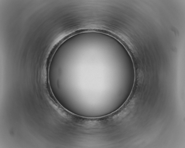 X0000112180982200908071322