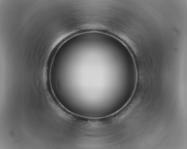 X0000112180983200908071322