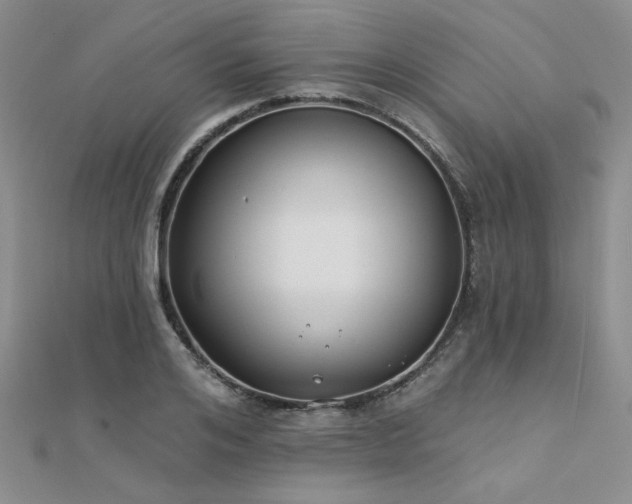 X0000112180984200908071322