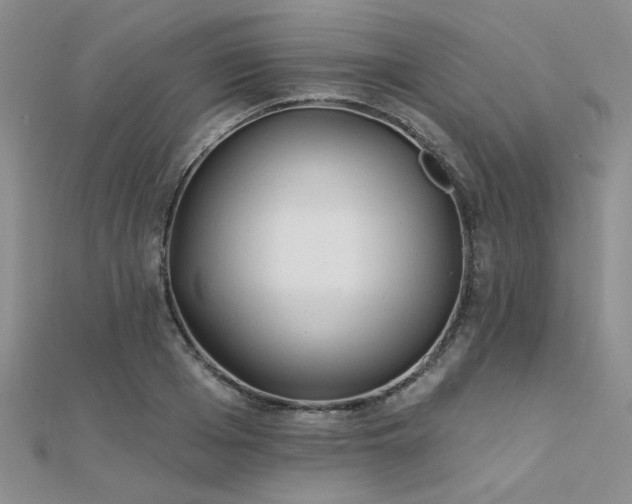 X0000112180985200908071322