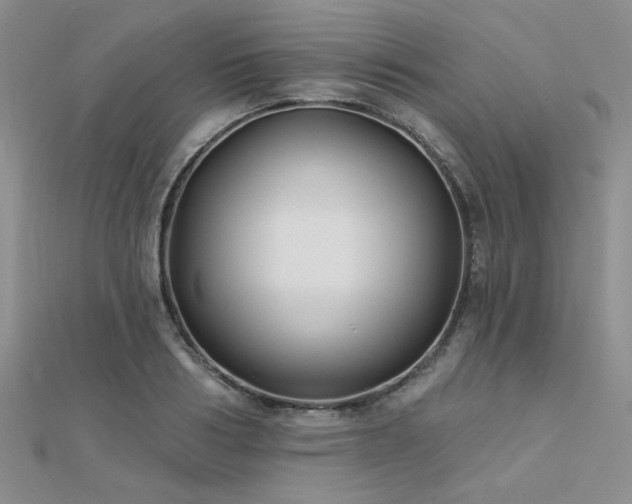 X0000112180986200908071322