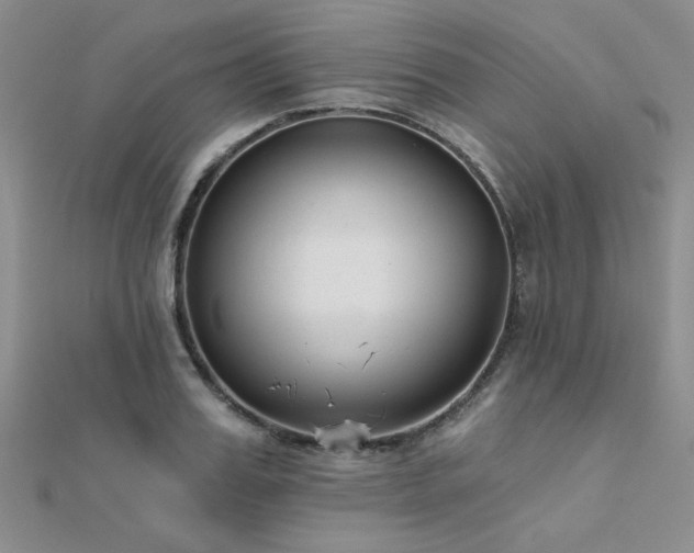 X0000112180987200908071322