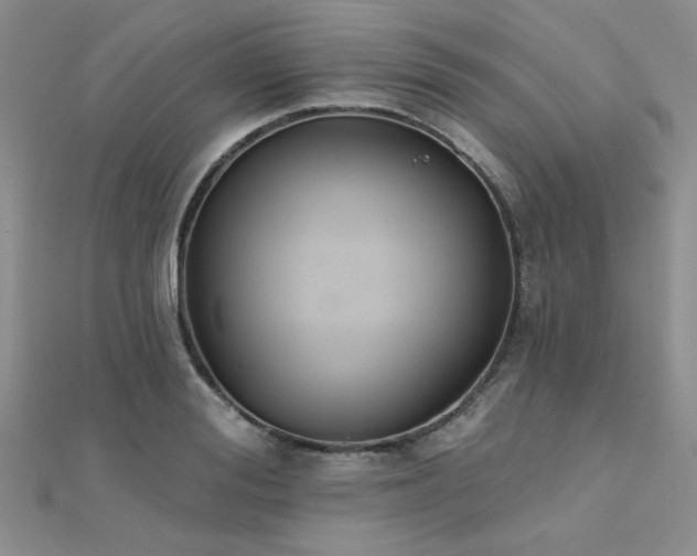 X0000112180988200908071322