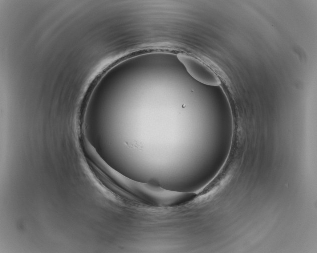 X0000112180989200908071322