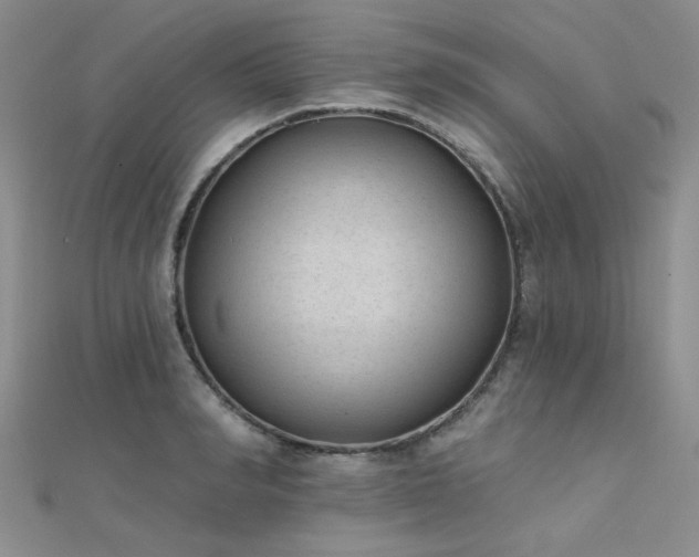 X0000112180990200908071322