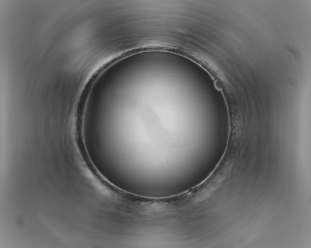 X0000112180991200908071322