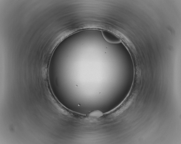 X0000112180993200908071322