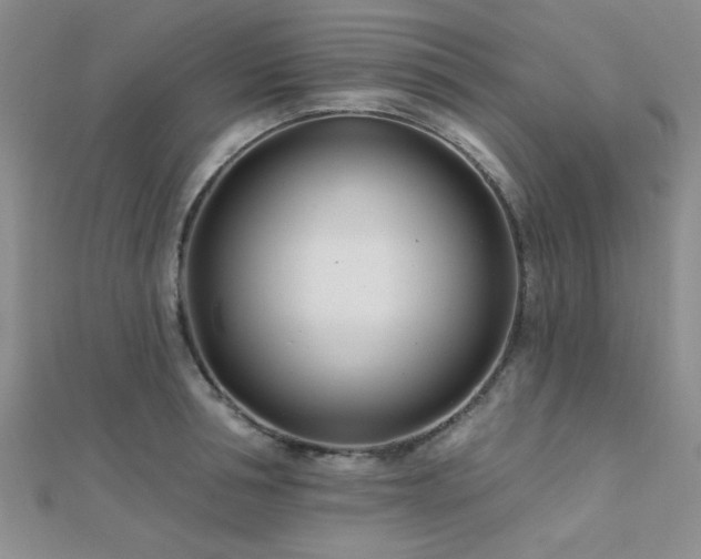 X0000112180994200908071322