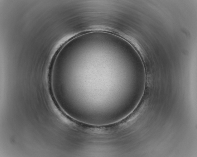 X0000112180995200908071322