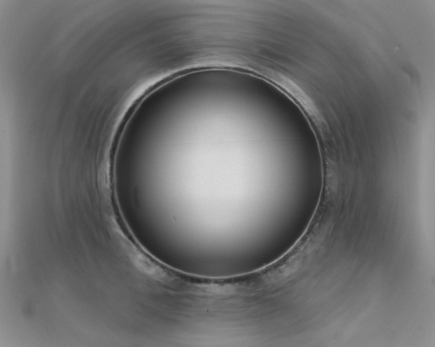 X0000112180996200908071322