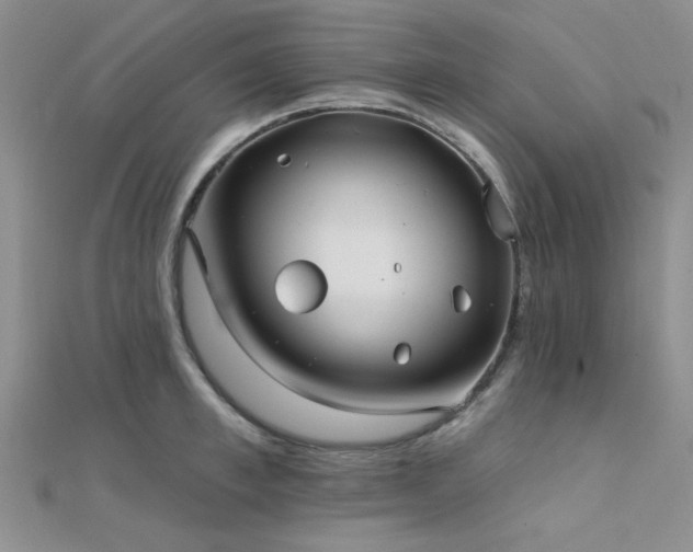 X0000112180997200908071322