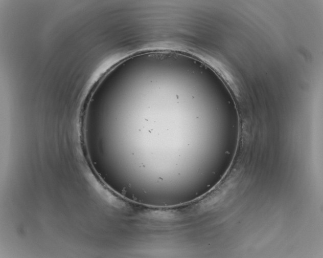 X0000112180998200908071322