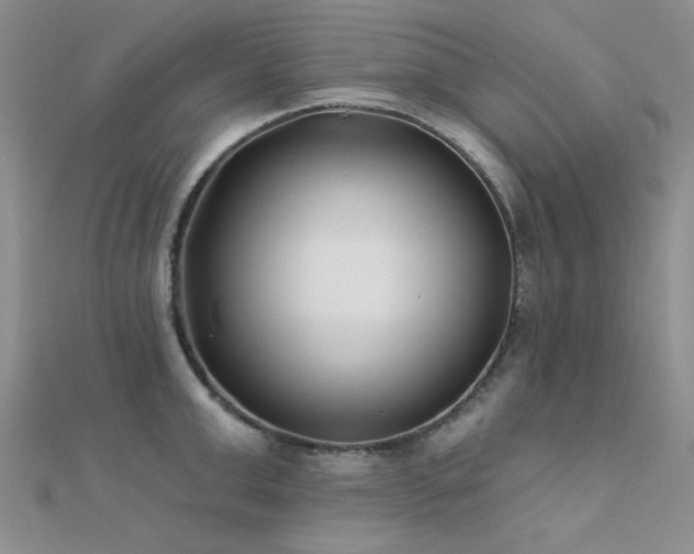 X0000112180999200908071322