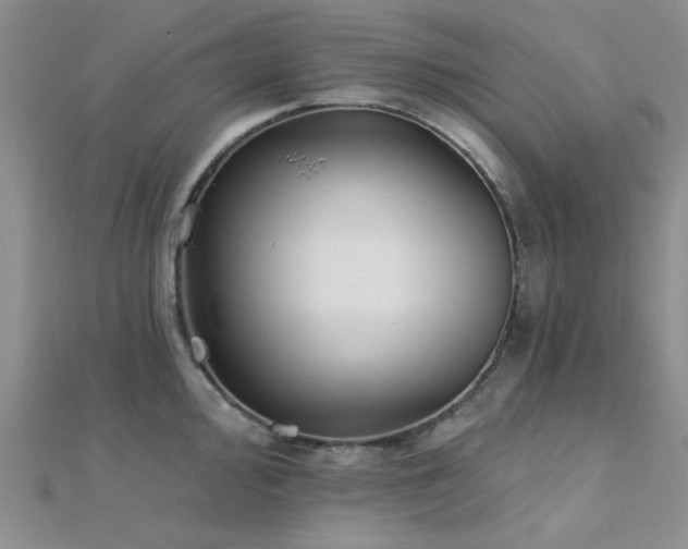 X0000112181000200908071322