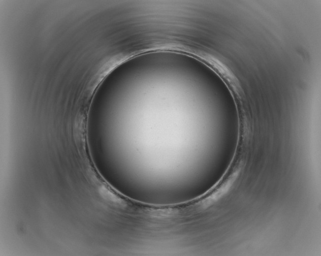 X0000112181001200908071322