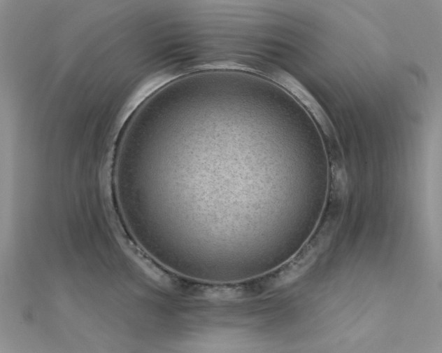 X0000112181002200908071322