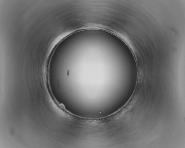 X0000112181003200908071322