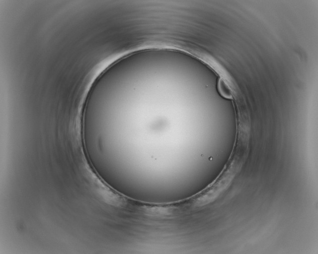 X0000112181004200908071322