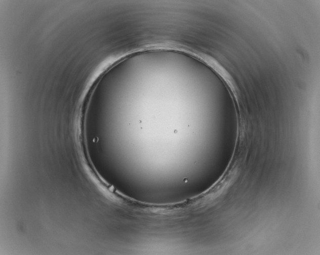 X0000112181005200908071322