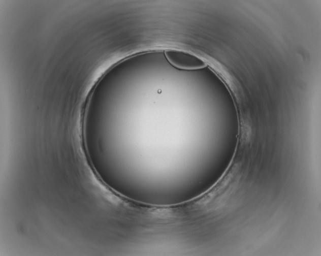 X0000112181006200908071322