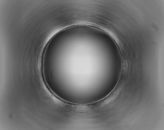 X0000112181007200908071322