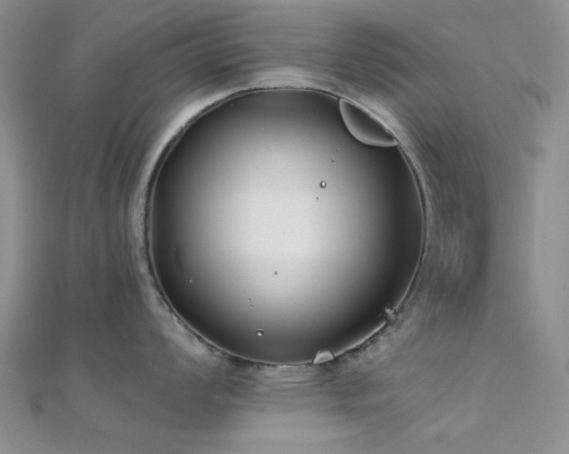 X0000112181008200908071322