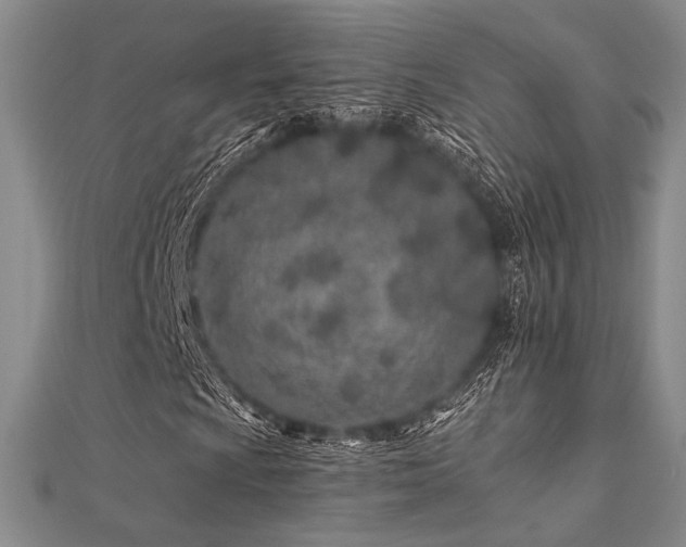 X0000112181009200908071321