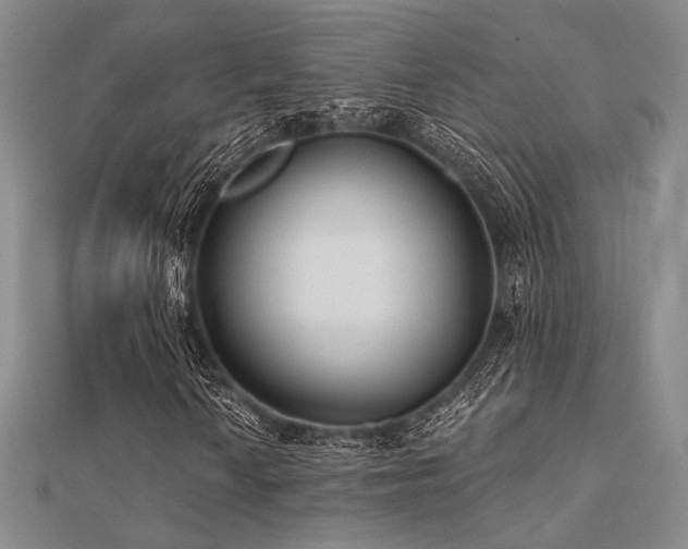 X0000112181010200908071321