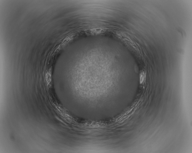 X0000112181011200908071321