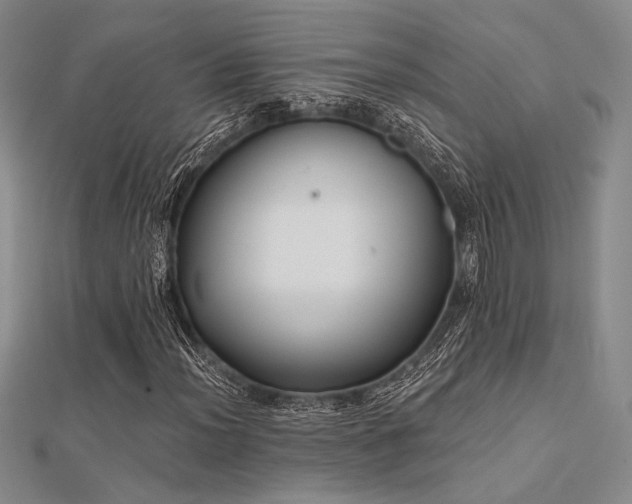 X0000112181012200908071321