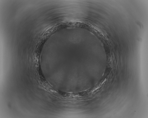 X0000112181013200908071321