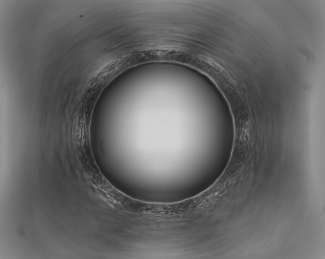 X0000112181014200908071321