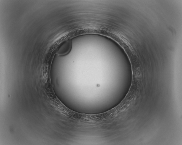 X0000112181015200908071321