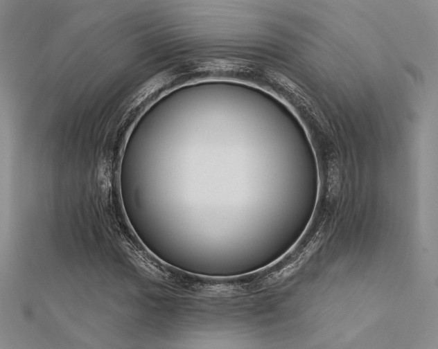 X0000112181017200908071322