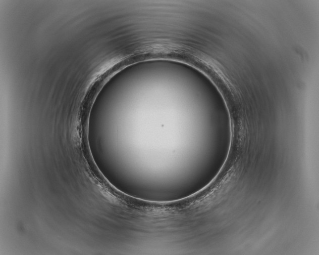 X0000112181018200908071322