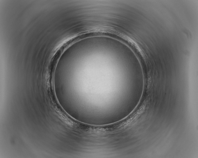 X0000112181019200908071322