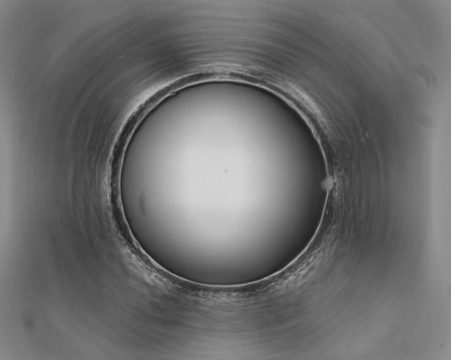 X0000112181020200908071322