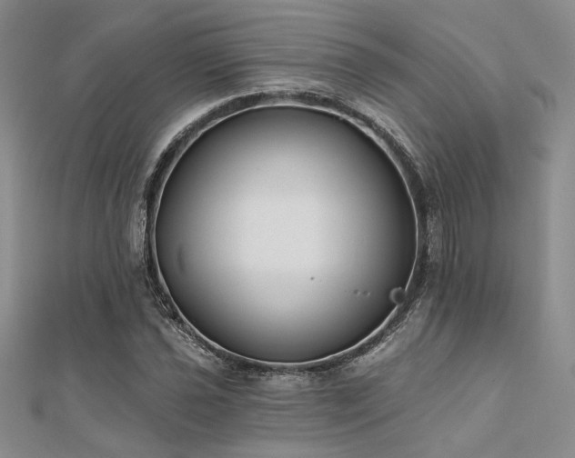 X0000112181021200908071322